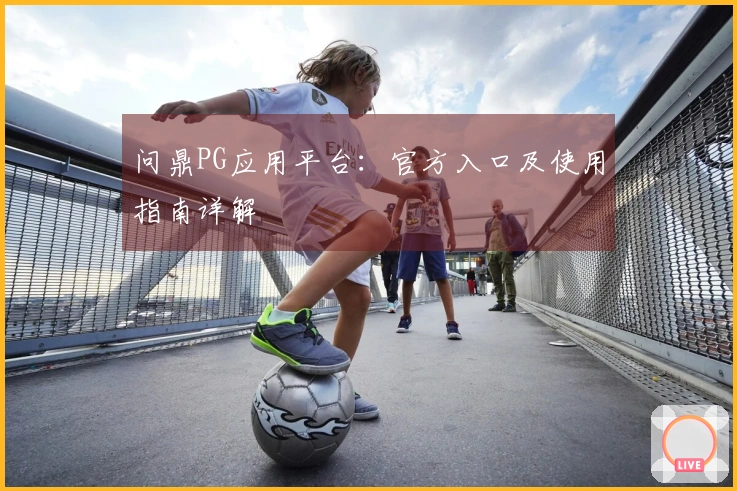 问鼎PG应用平台：官方入口及使用指南详解