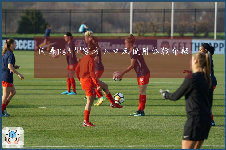 问鼎pgAPP官方入口及使用体验介绍